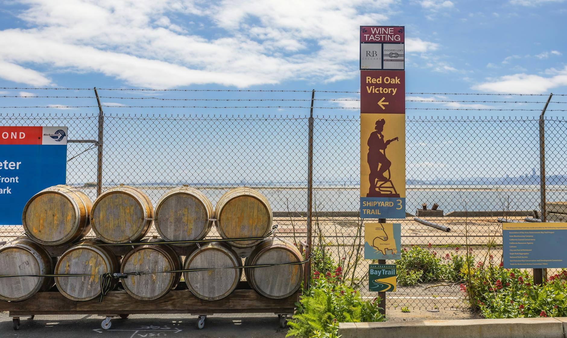 Drewniane beczki z winem ustawione przy ogrodzeniu w słoneczny dzień