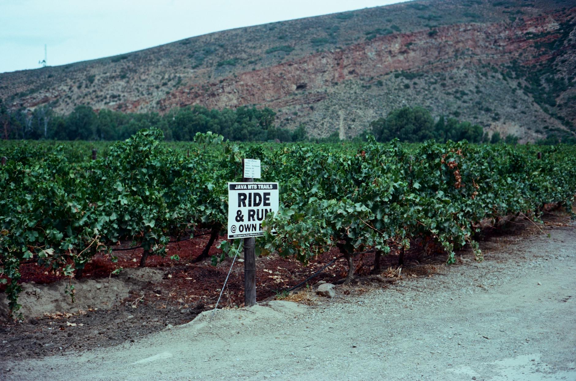 Winnica z tablicą ostrzegawczą na tle górskiego krajobrazu