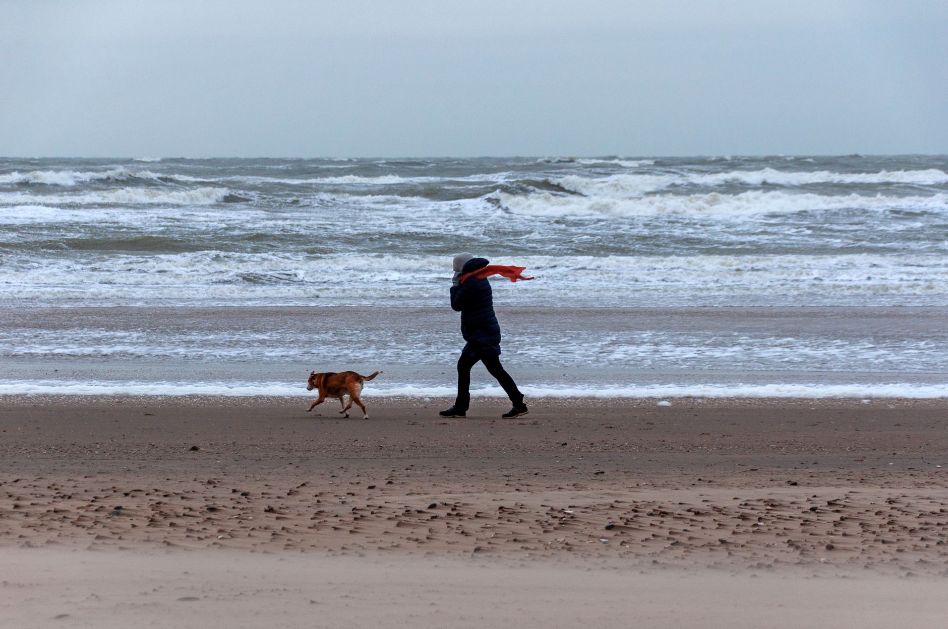 Mężczyzna z psem spacerujący po wietrznej plaży nad zimnym morzem